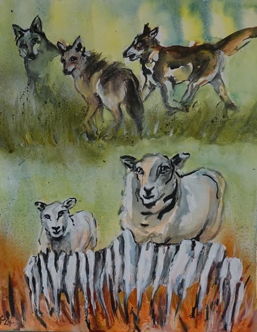 „Die Wölfe und die Schafe“ Fabel 13 Buch 3 – Aquarell 40x50 cm 2024
