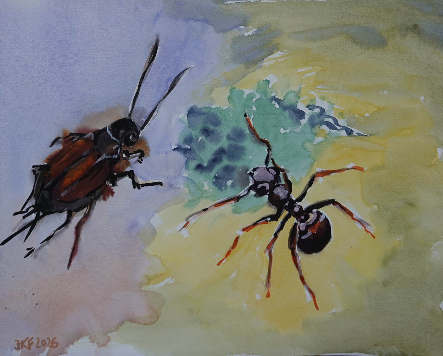 Buch-1-Fabel-1-Die-Grille-und-die-Ameise-Aquarell-36x48-cm-2026-vARIANTE