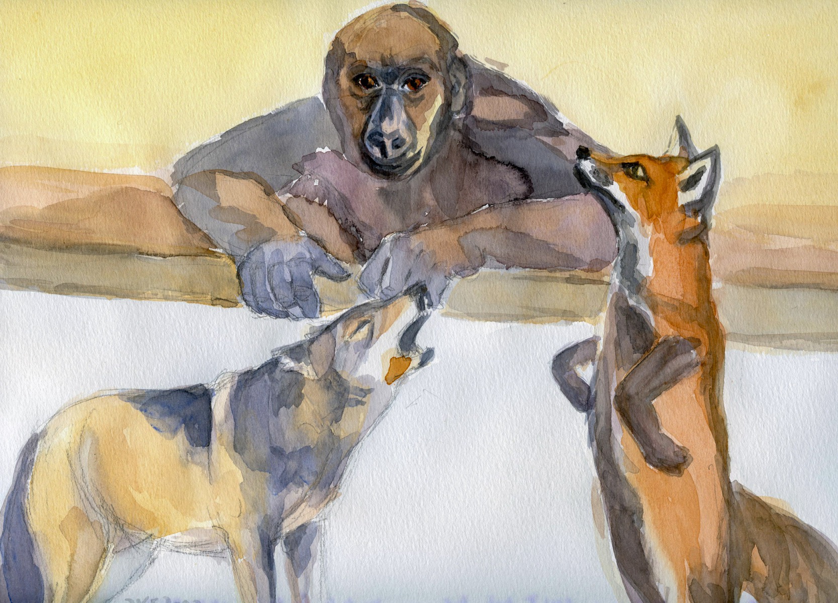 Der Affe als Richter zwischen Wolf und Fuchs