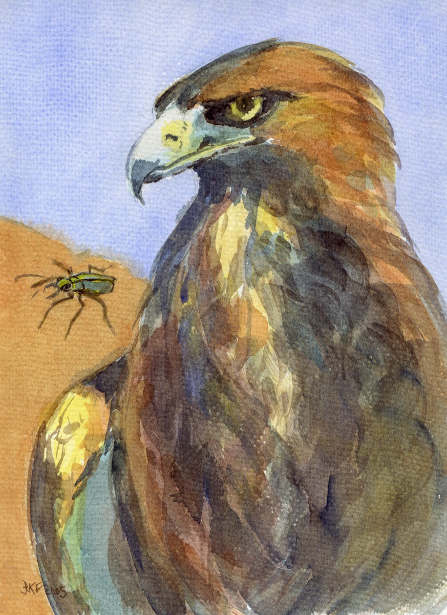 Der Adler und der Käfer