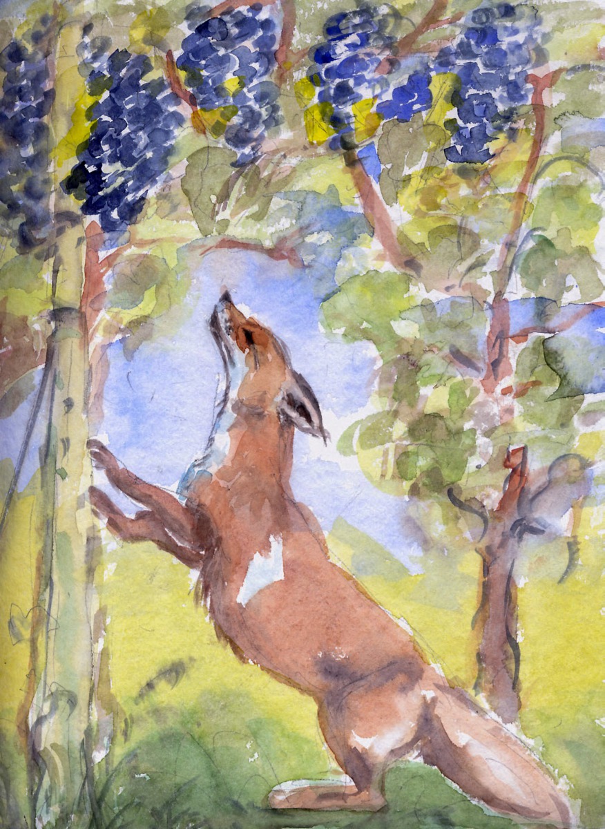 Der Fuchs und die Weintrauben