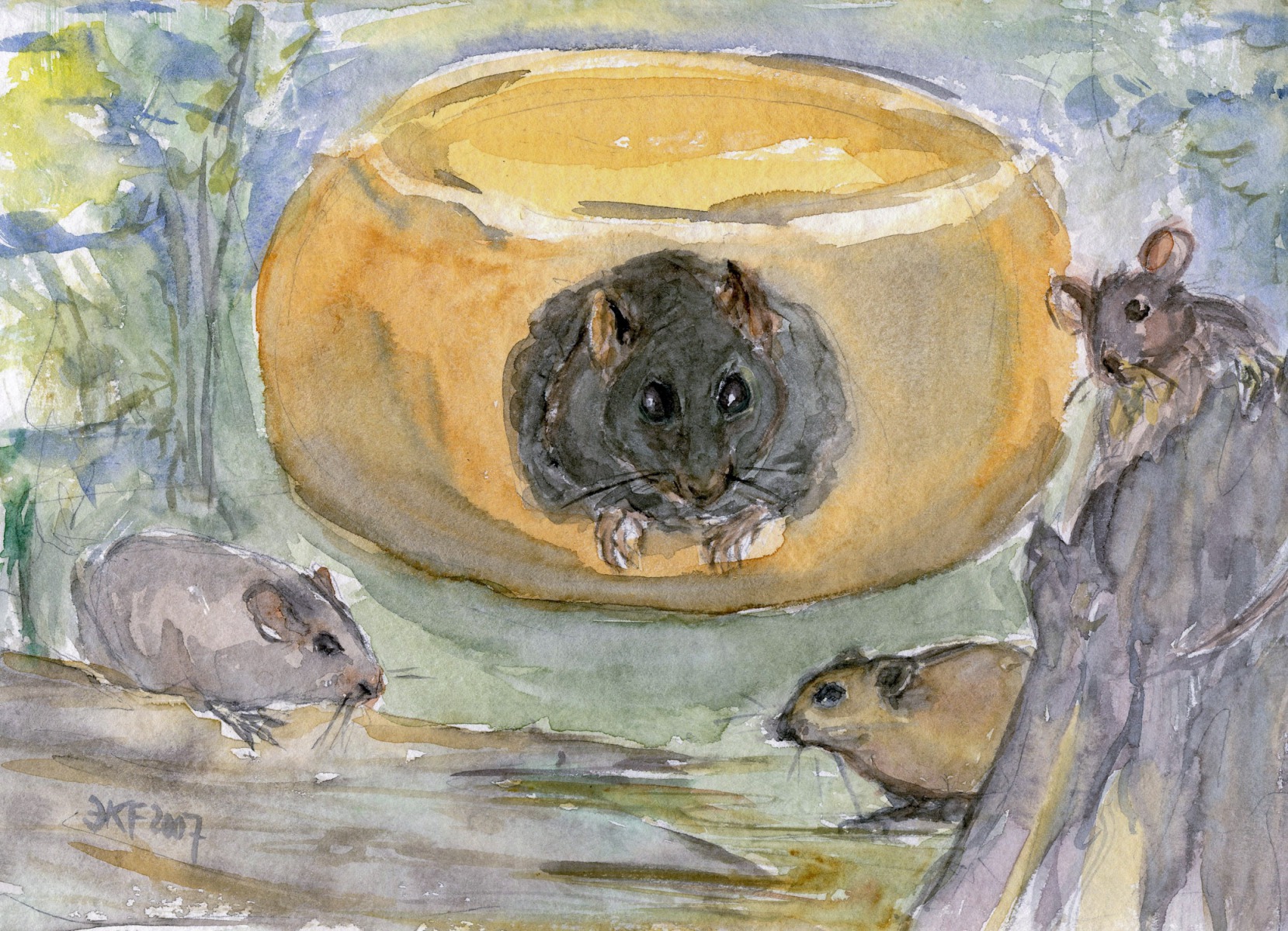 Der Ratz, der sich von der Welt zurückzog