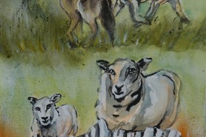 „Die Wölfe und die Schafe“ Fabel 13 Buch 3 – Aquarell 40x50 cm 2024