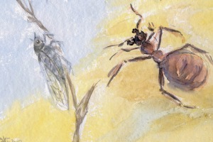 Die Grille und die Ameise