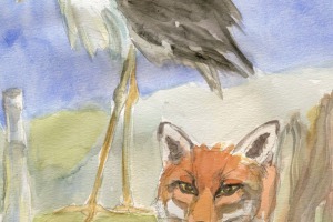 Der Fuchs und der Storch
