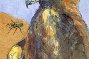 Der Adler und der Käfer