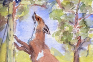 Der Fuchs und die Weintrauben