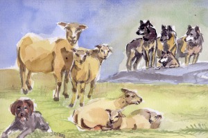 Die Wölfe und die Schafe