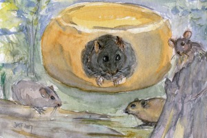 Der Ratz, der sich von der Welt zurückzog