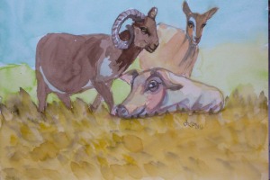 Das Schwein, die Ziege und das Schaf
