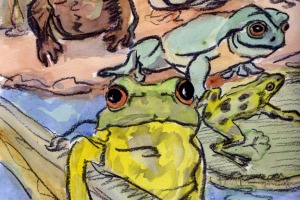 Die Sonne und die Frösche