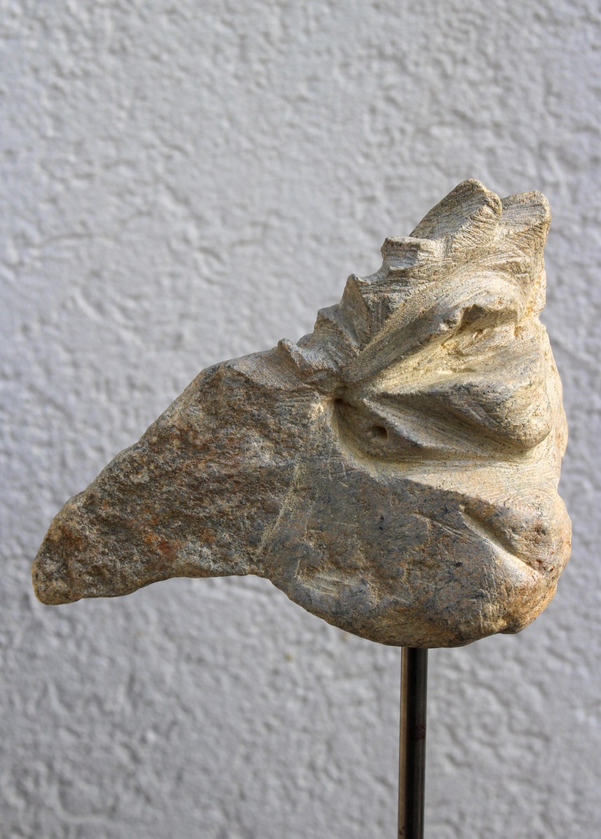 Vogelkopf