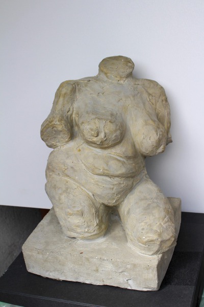Torso