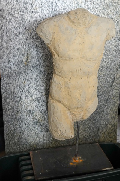 Torso