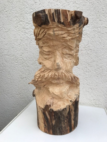 Mann-von-der-Kueste-Doppelkopf-Weisstanne-Hoehe-61-cm-Durchm.-30-cm-2023_Bildgroesse-aendern