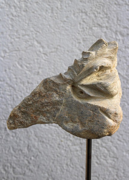 Vogelkopf