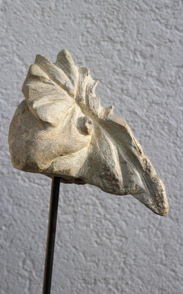 Vogelkopf