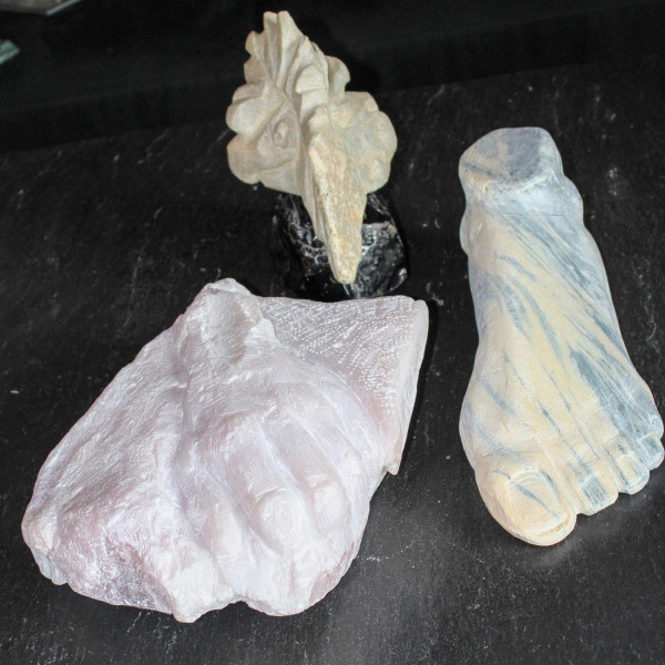 Vogel, Fuß, Hand
