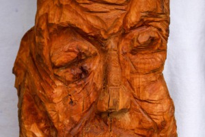 Freundlicher Troll