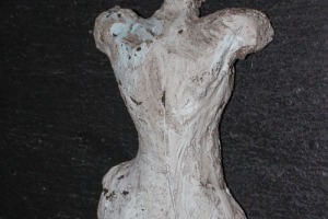 Torso