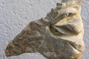 Vogelkopf