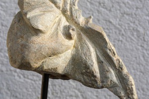 Vogelkopf
