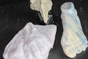 Vogel, Fuß, Hand