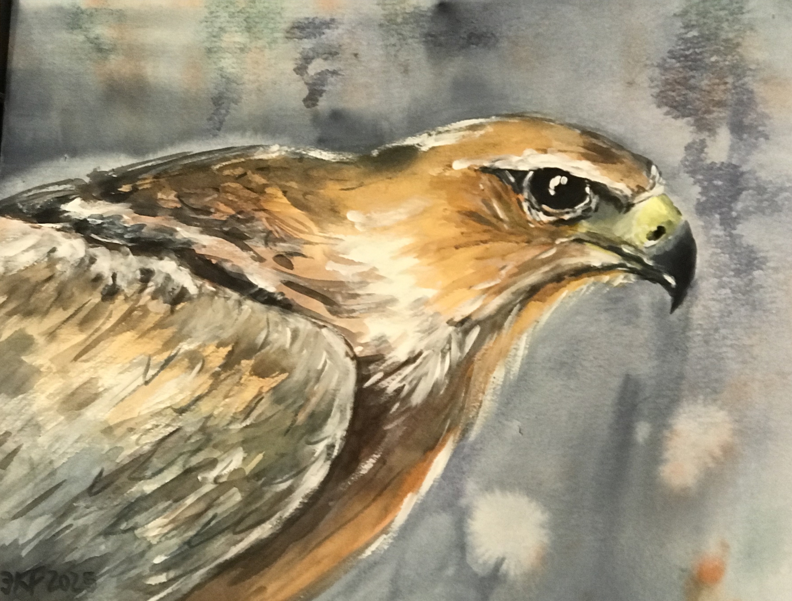 Adlers-Fittiche-Koenig-der-Luefte-Aquarell-2025-36x48-cm