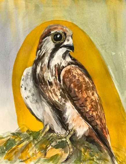 Im-Licht-Aquarell-2025-36x48-cm