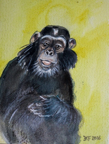 Affe mit Backenbart