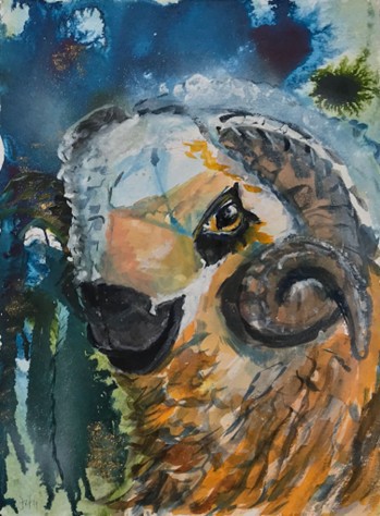 Schafbock – Aquarell 36x48 cm 2024