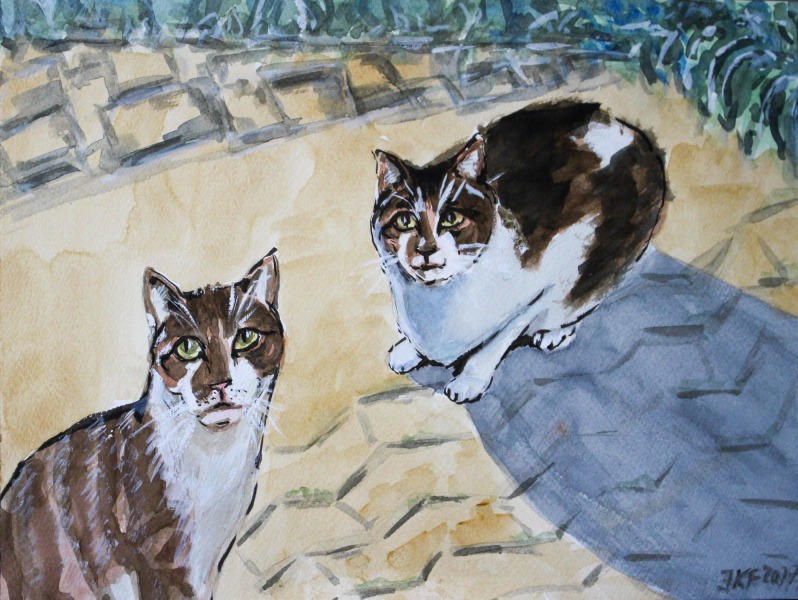 Hauskatzen