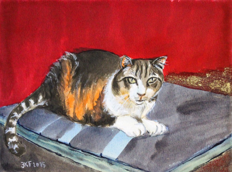 Katze auf dem Polster