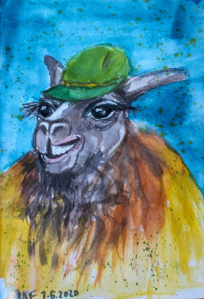 Lama mit grünem Hut
