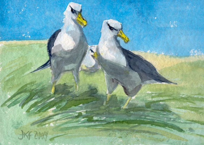 Möwen