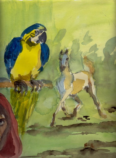 Pferd, blaugelber Papagei