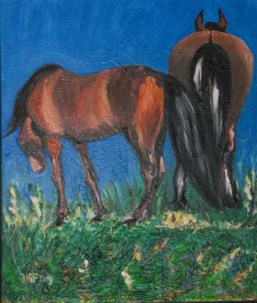 Pferde auf der Weide