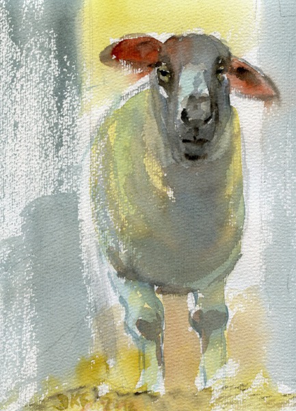 Schaf mit roten Ohren
