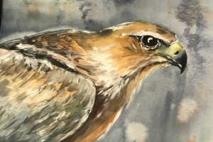Adlers-Fittiche-Koenig-der-Luefte-Aquarell-2025-36x48-cm