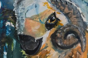 Schafbock – Aquarell 36x48 cm 2024