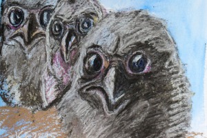 Drei kleine Eulen