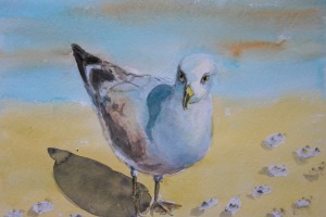 Eine Möwe überlegt