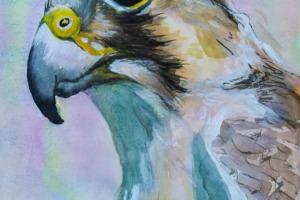 Gestatten, mein Name ist Falke, Würgfalke.