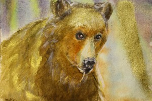Goldbär