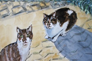 Hauskatzen