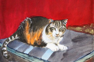 Katze auf dem Polster