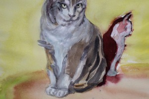 Katze
