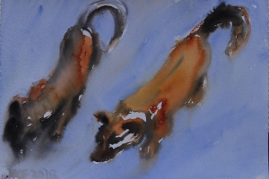 zwei hunde