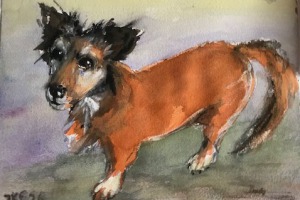 Paula