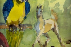 Pferd, blaugelber Papagei